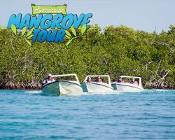 tours bicicleta por cancun Jungle Tour Barracuda